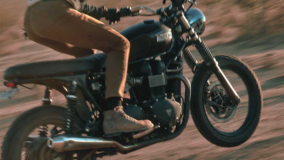 【原価ぶっ壊し割引】テディ・トライアンフウール 1_000000026286.jpg